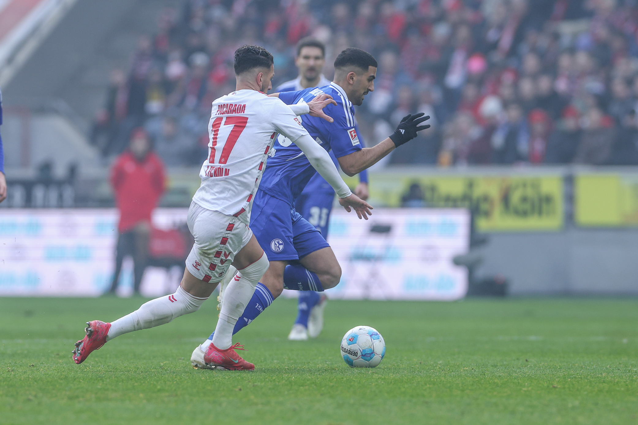 沙尔克队指望主场优势,力争击败对手的简单介绍 沙尔克队指望主场优势,力争击败对手的简单介绍